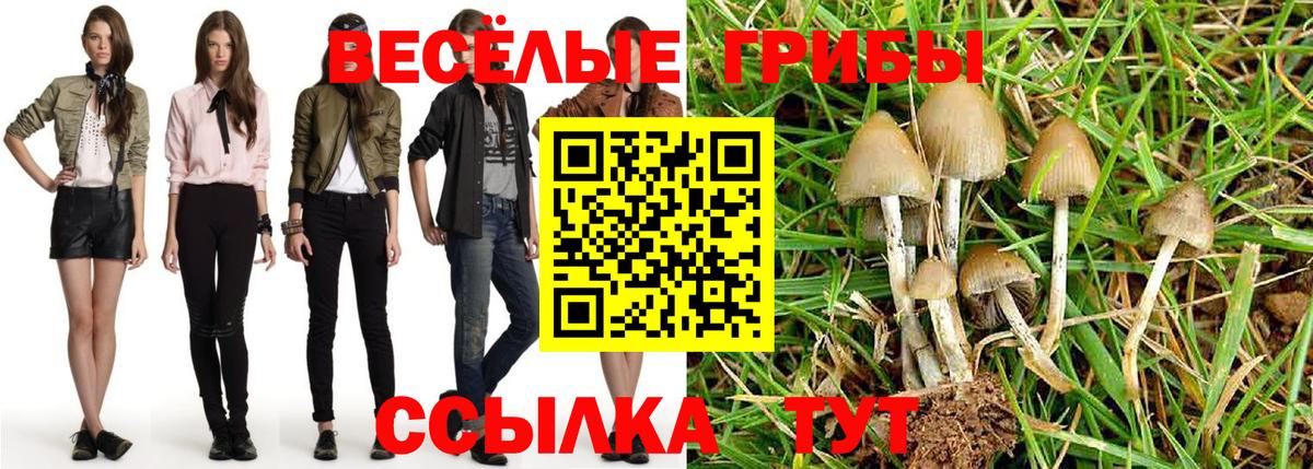 Псилоцибиновые грибы мицелий  Псилоцибиновые грибы MAGIC MUSHROOMS  Городец  Вход с VPN 