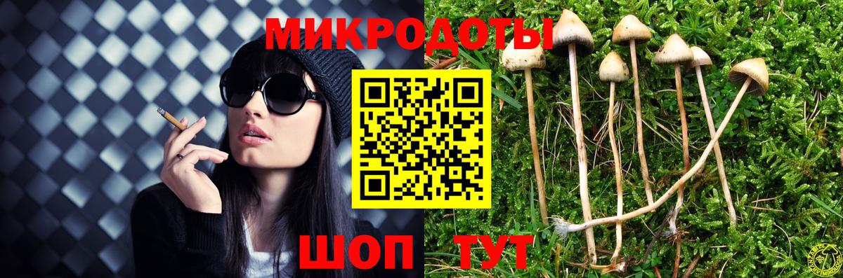 Псилоцибиновые грибы мухоморы Городец